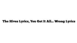  The Hives Lyrics, You Got It All… Wrong Lyrics